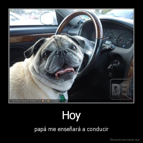 futuro_Hoy-papa-me-ensenara-a-conducir