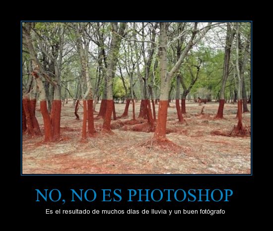 ser presente no_no_es_photoshop