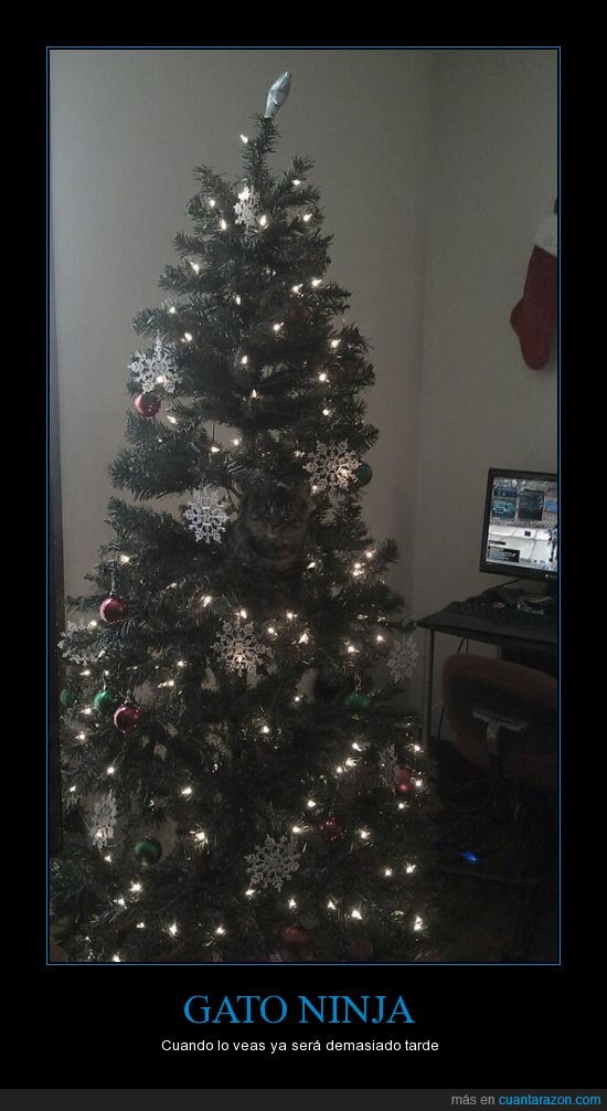 gato_ninja