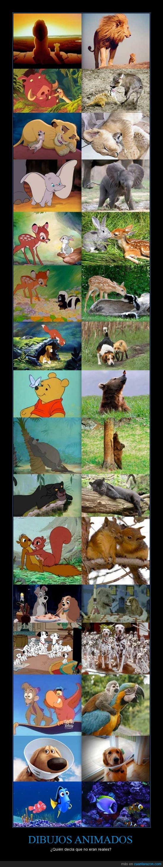 imperfecto_dibujos_animados