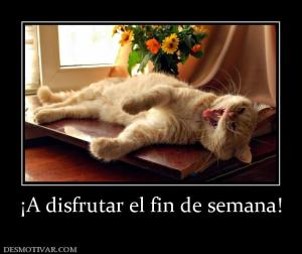 a disfrutar el find de semana