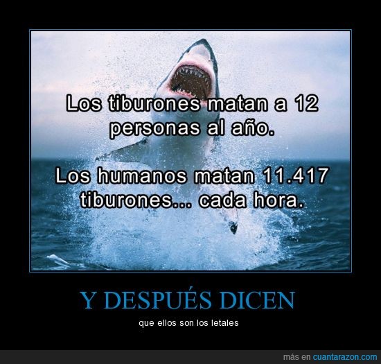 a personal_tiburones