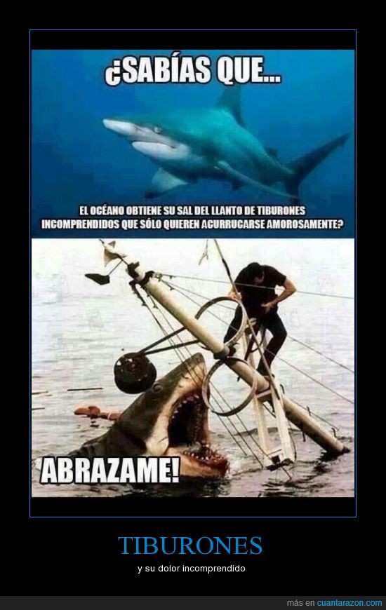 ellos_solo_quieren_que_los_ames_y_tu_los_rechazas