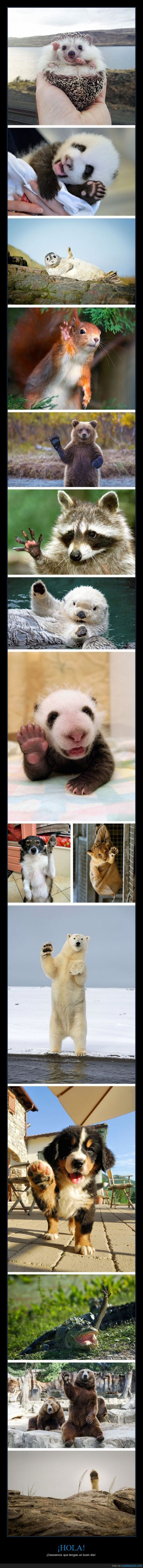 subjuntivo que tengas un buen día