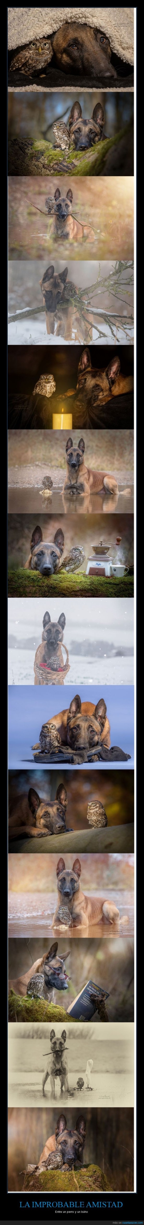 la_improbable_amistad