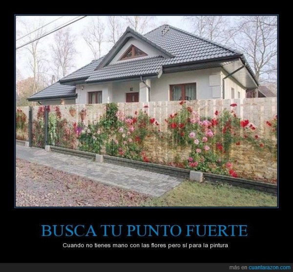 busca_tu_punto_fuerte