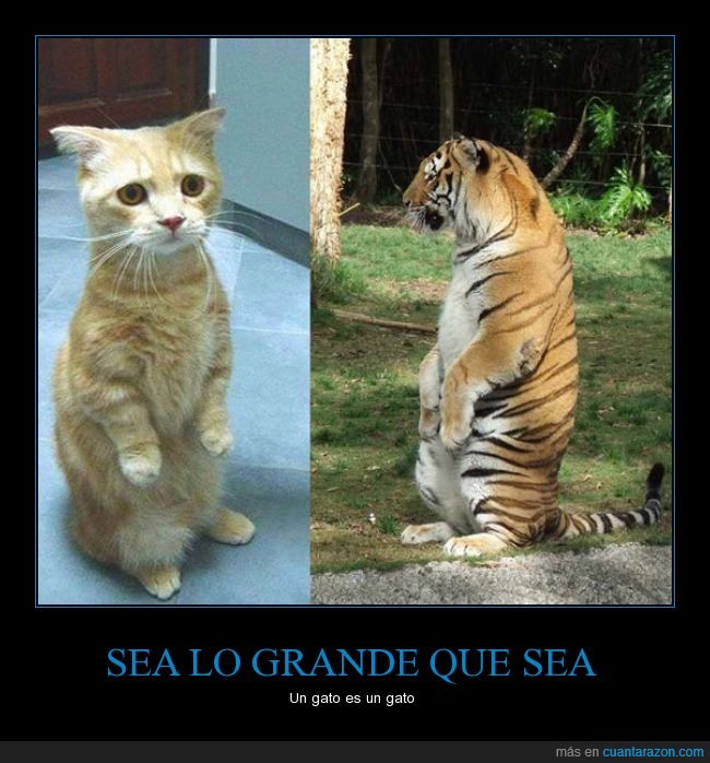 subj_sea_lo_grande_que_sea