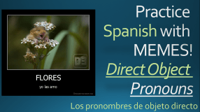 direct object pronouns memes image thumbnail