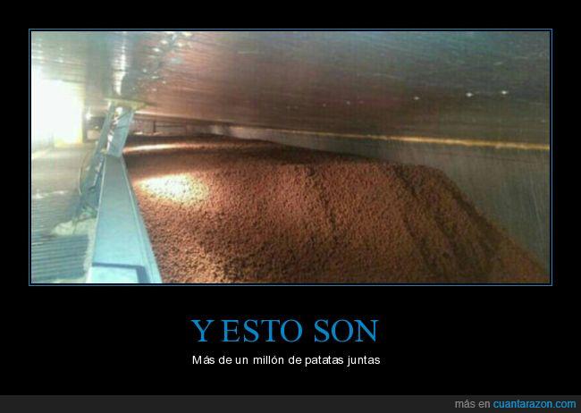 más de un millón de patatas