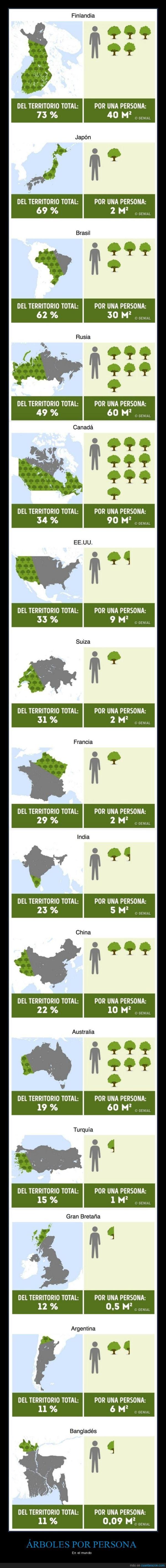 árboles por persona